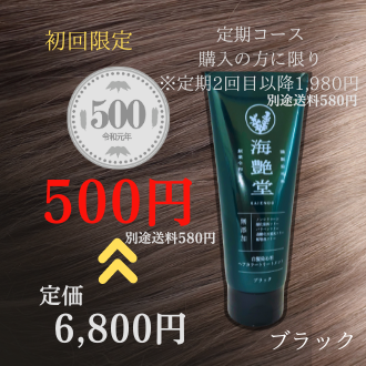 【定期2回目1980円】海艶堂 ヘアトリートメント ブラック