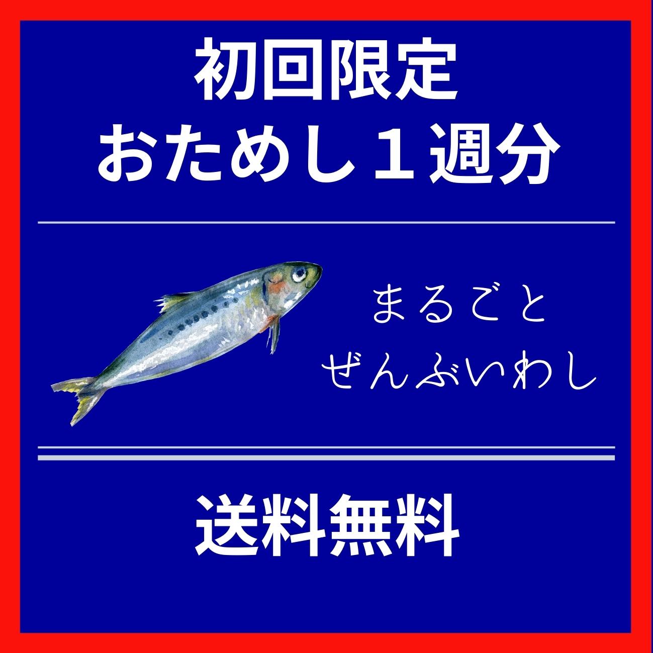 【初回限定】まるごとぜんぶいわしおためし1週分