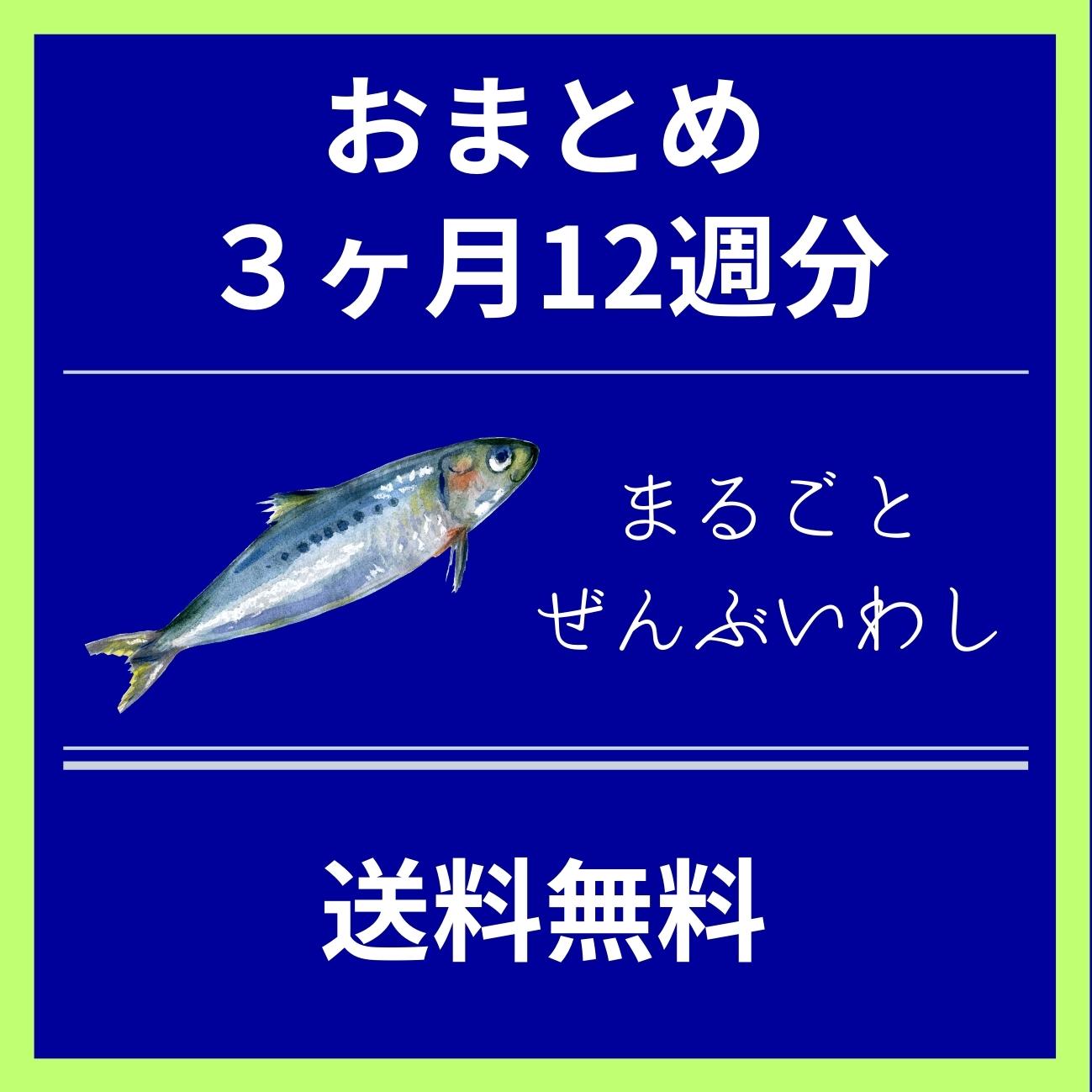 まるごとぜんぶいわし3ヶ月分・12週分・おまとめ